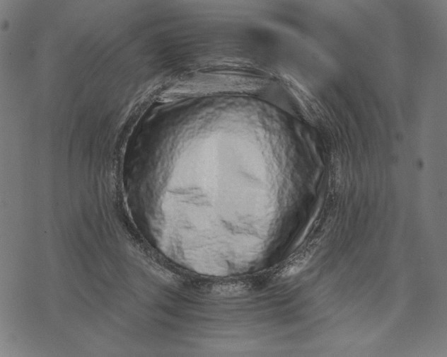 X0000073530357200608211835