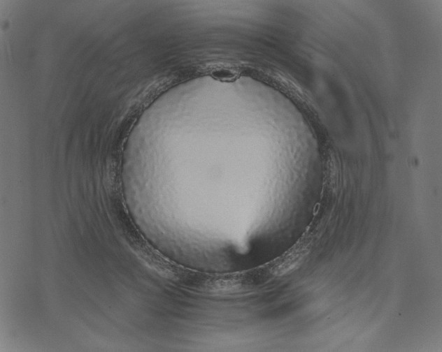 X0000073530361200608211835