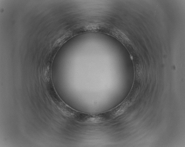 X0000073530364200608211836