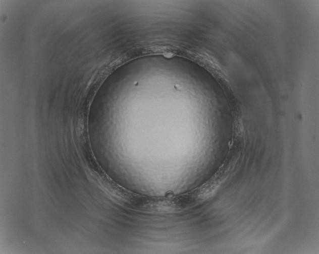 X0000073530365200608211836