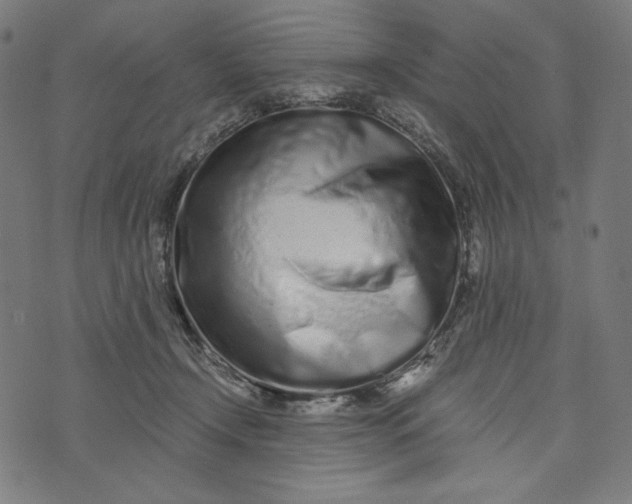 X0000073530366200608211836