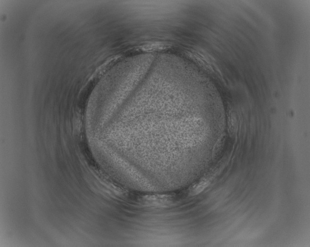 X0000073530367200608211836