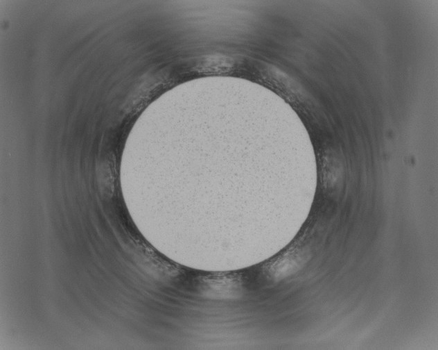 X0000073530370200608211836