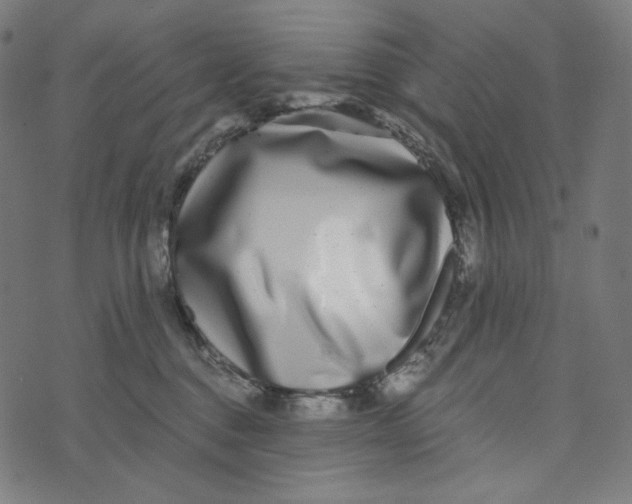 X0000073530376200608211836