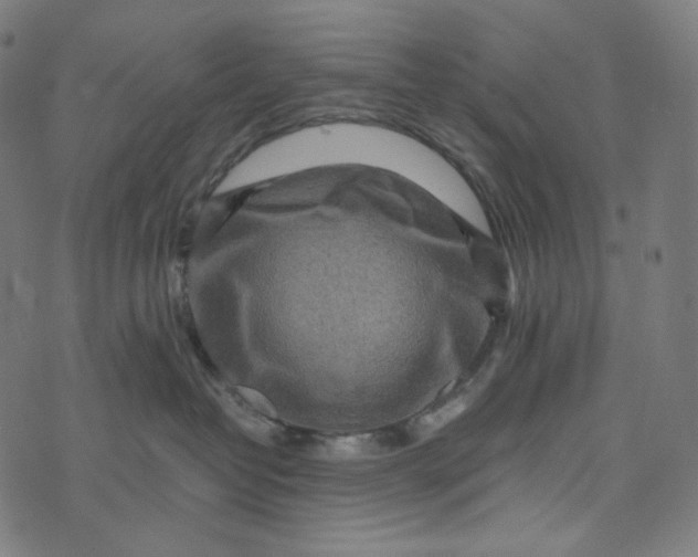 X0000073530382200608211836