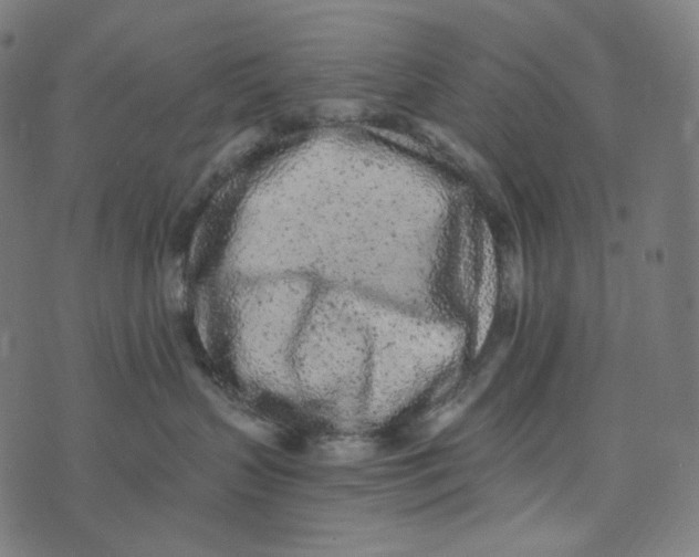 X0000073530383200608211836