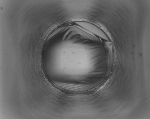 X0000073530385200608211835