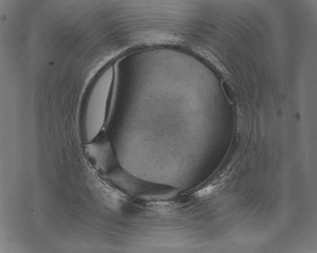 X0000073530391200608211835