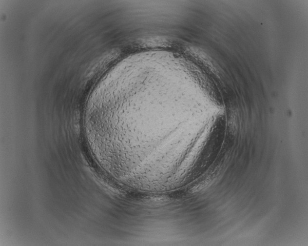 X0000073530402200608211835
