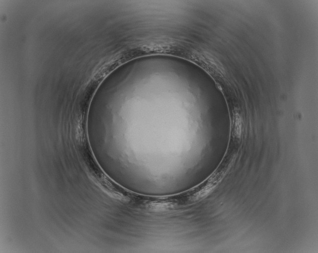 X0000073530408200608211835