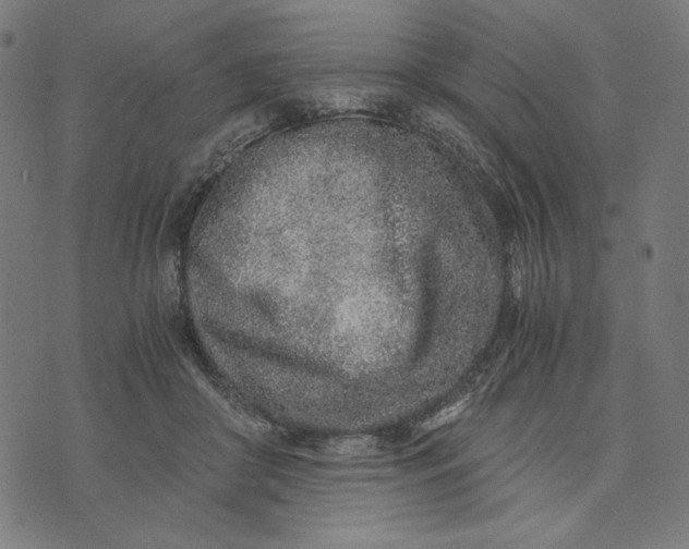 X0000073530410200608211835
