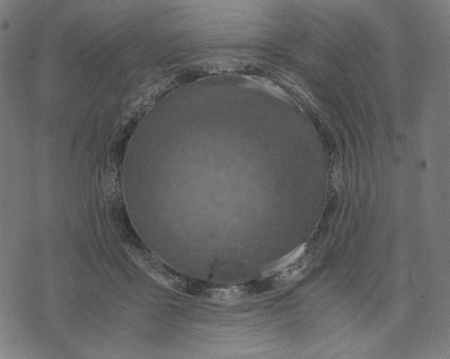 X0000073530411200608211835