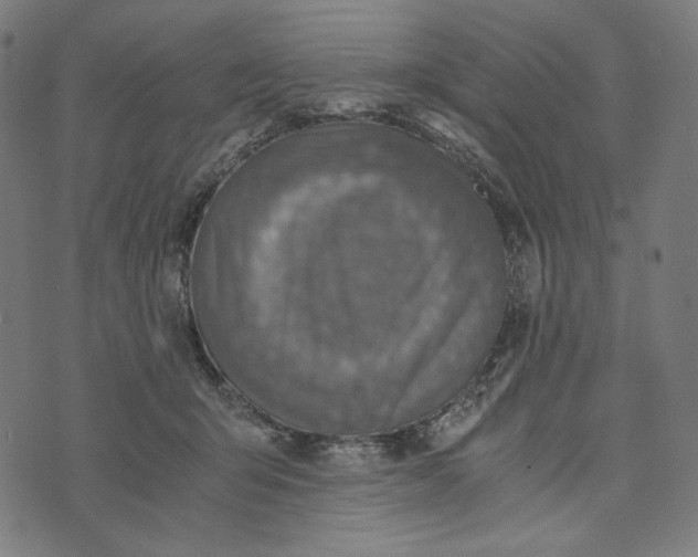 X0000073530415200608211835