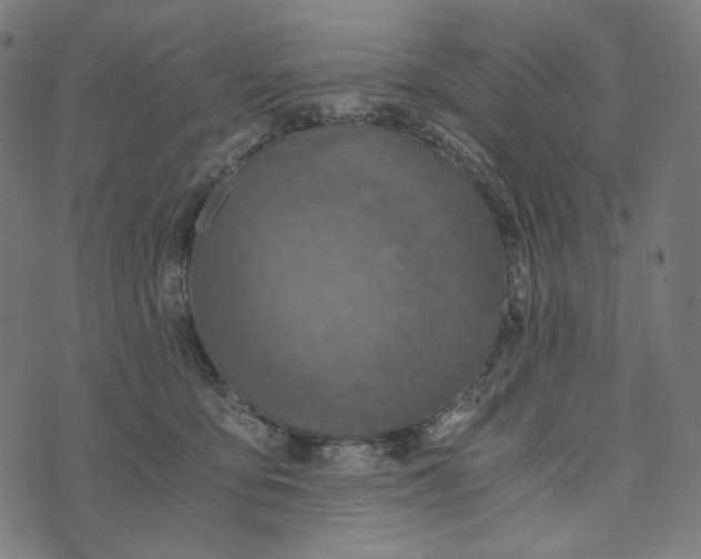 X0000073530419200608211834