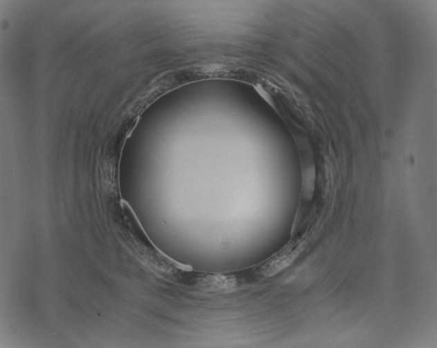 X0000073530421200608211834