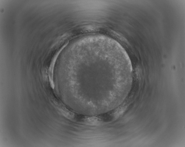 X0000073530423200608211834