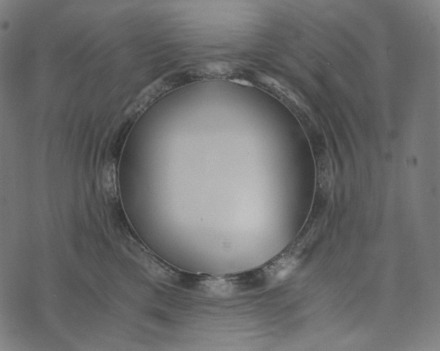 X0000073530425200608211834