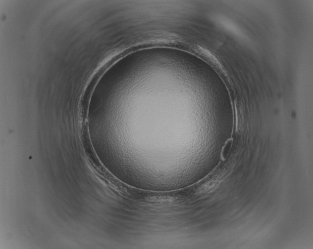 X0000073530435200608211834
