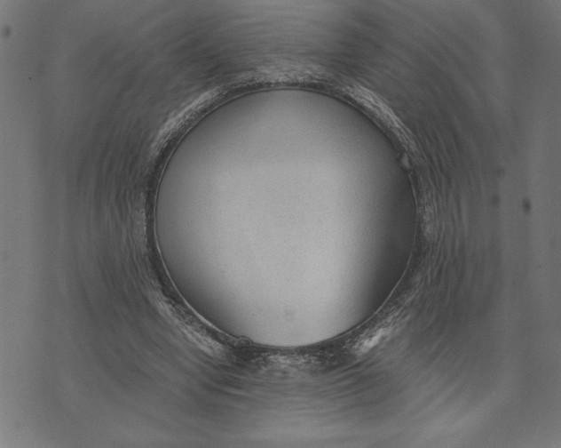 X0000073530442200608211834