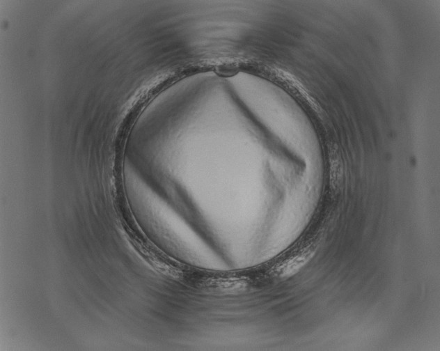 X0000073530443200608211834