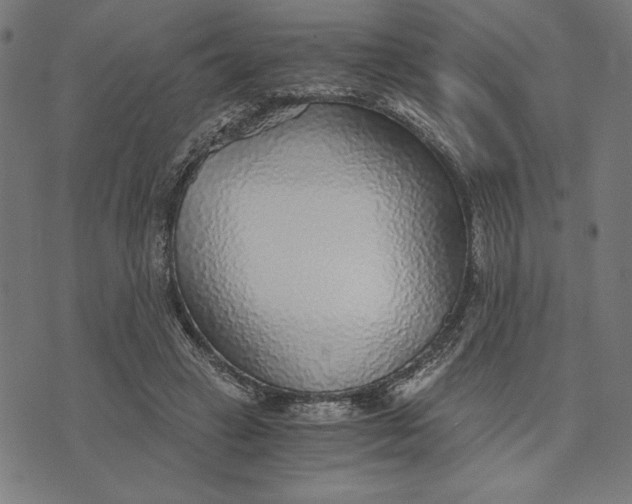 X0000073530449200608211834