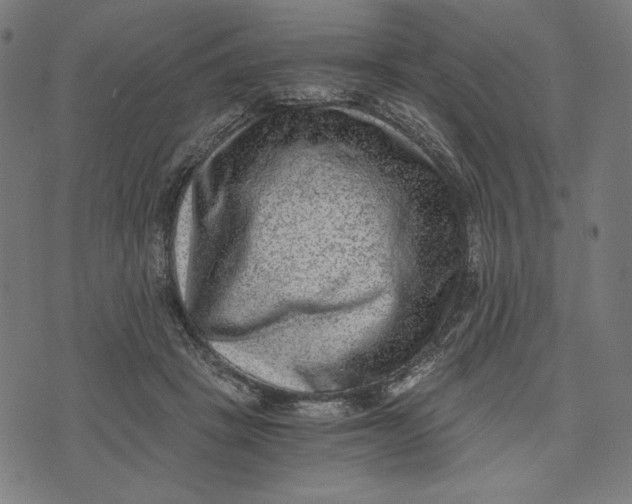 X0000073530457200608211834