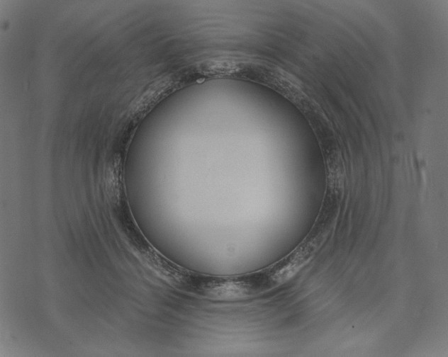 X0000073530460200608211834