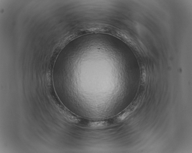 X0000073530461200608211834