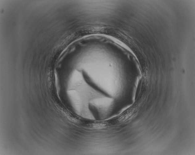 X0000073530462200608211834