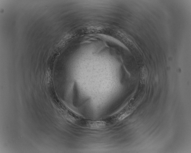 X0000073530463200608211834