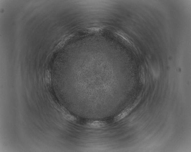 X0000073530467200608211834