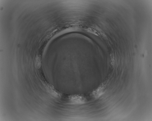 X0000073530471200608211834