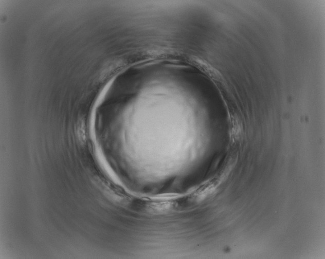 X0000073530479200608211834
