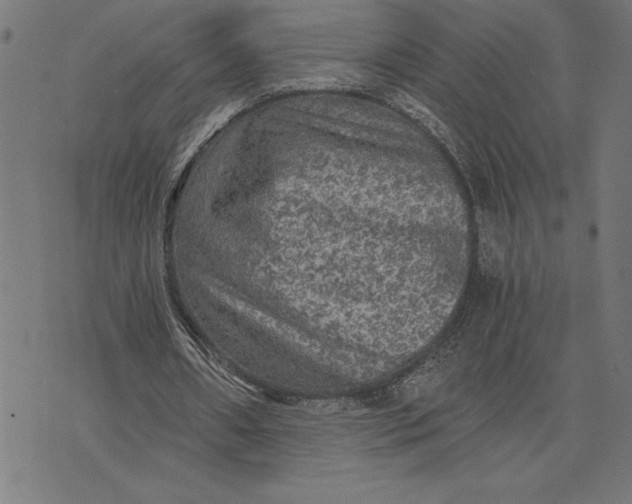 X0000073530482200608211833