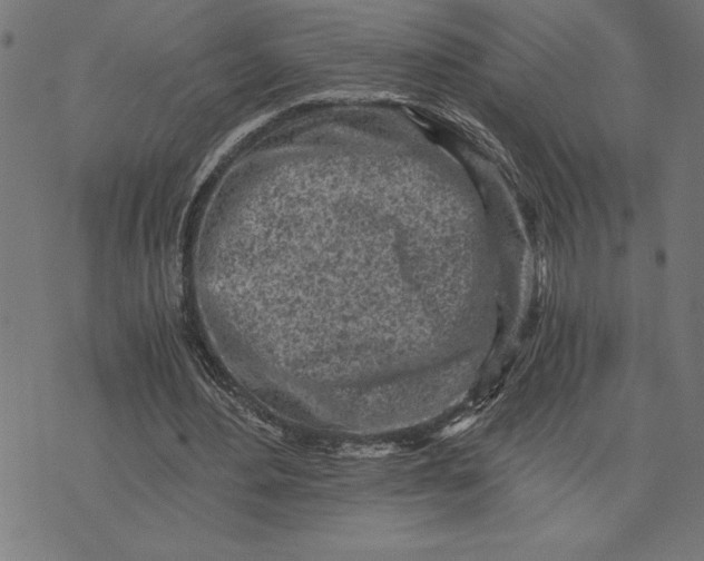 X0000073530484200608211833