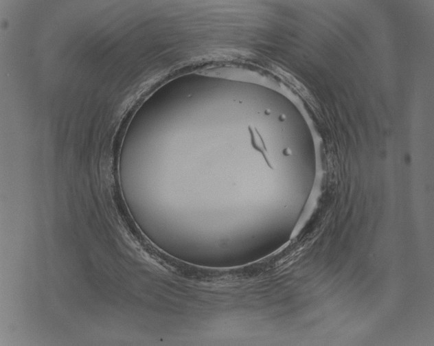 X0000073530485200608211833