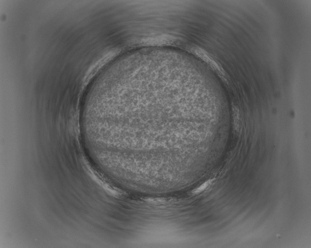 X0000073530486200608211833