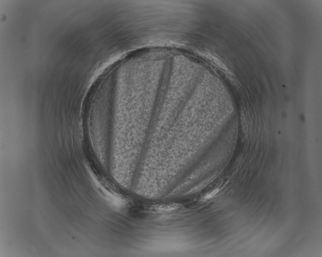 X0000073530488200608211833