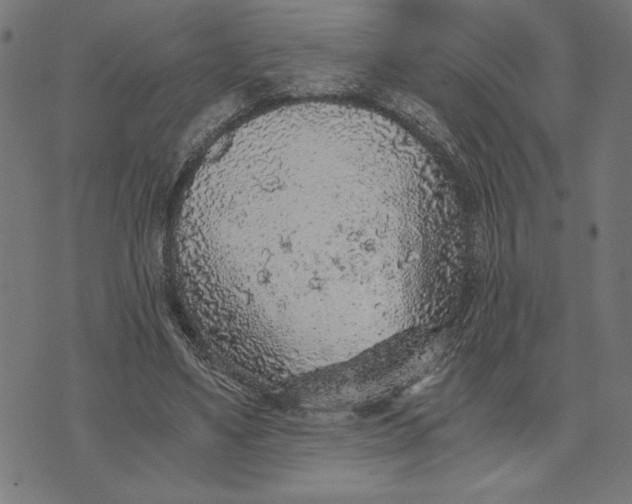 X0000073530491200608211833
