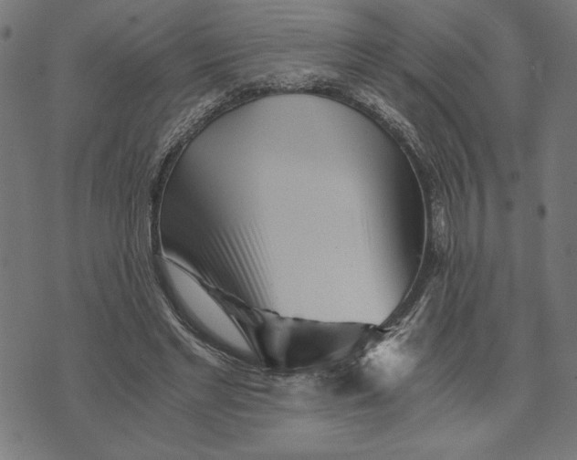 X0000073530493200608211833