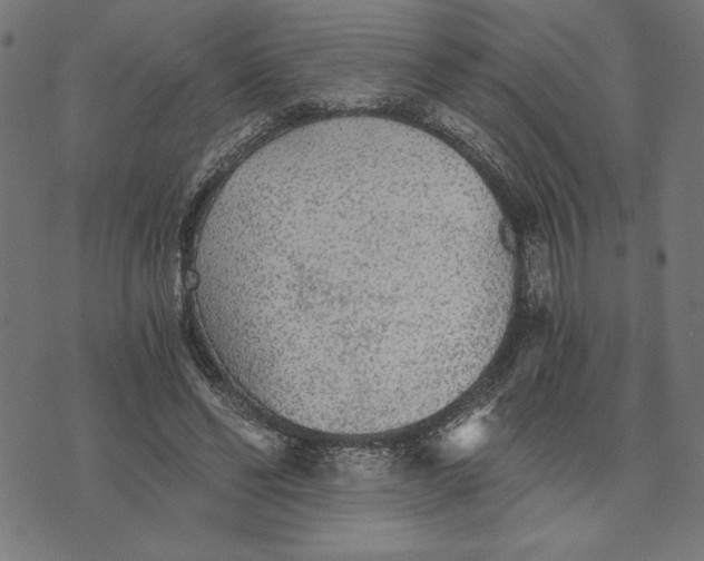 X0000073530494200608211833