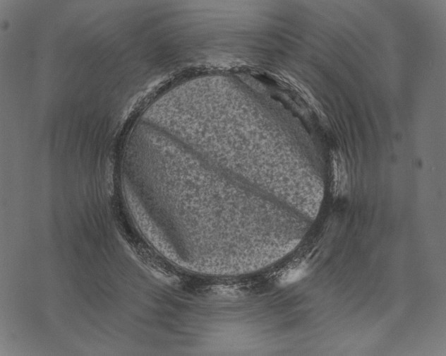 X0000073530496200608211833