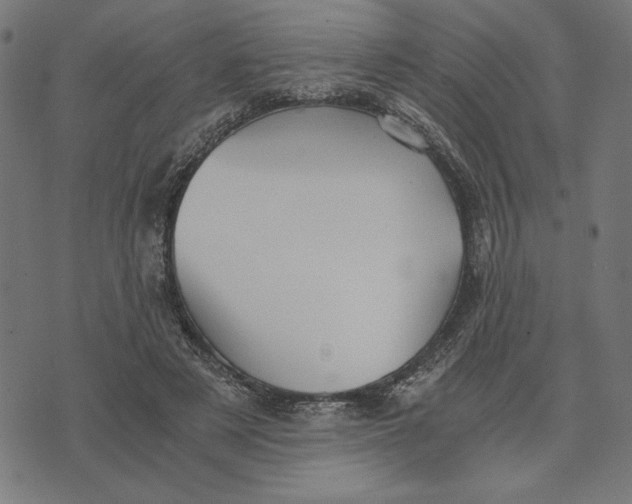 X0000073530497200608211833