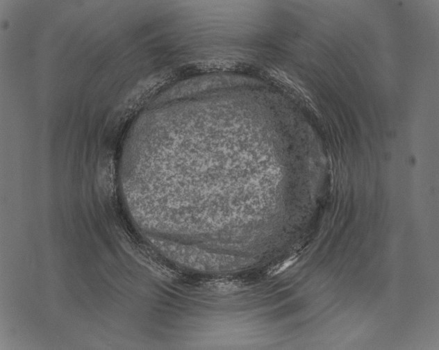 X0000073530498200608211833