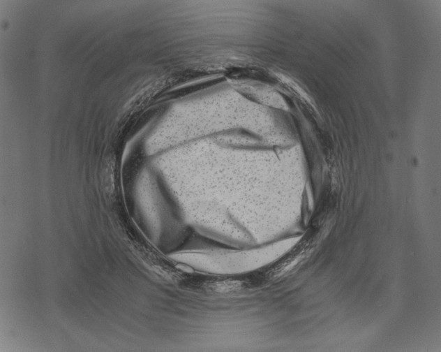 X0000073530501200608211833