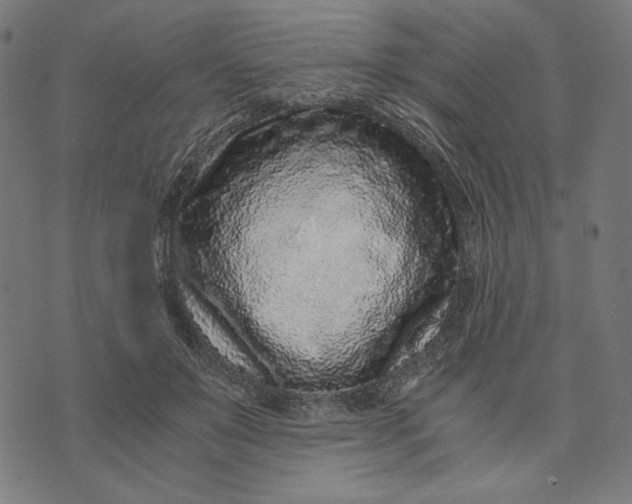 X0000073530503200608211833