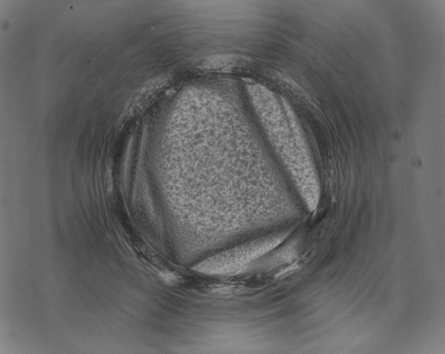 X0000073530504200608211833