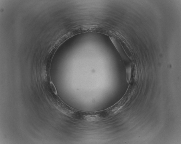 X0000073530508200608211833