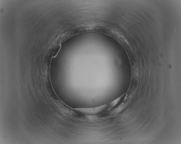 X0000073530509200608211833