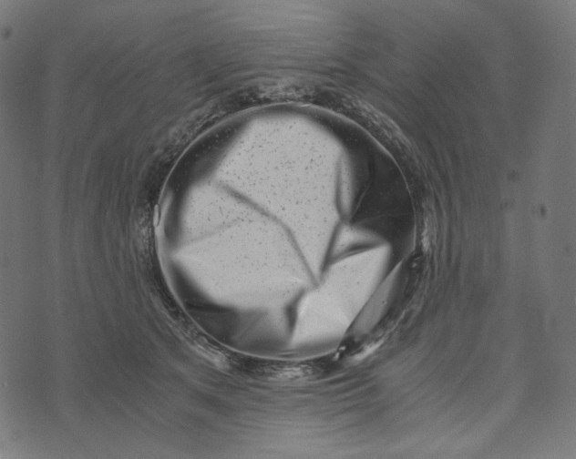 X0000073530513200608211833